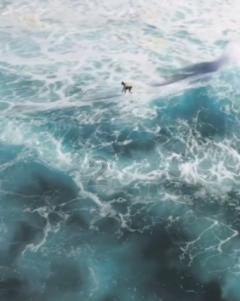 逃出海滩度假胜地